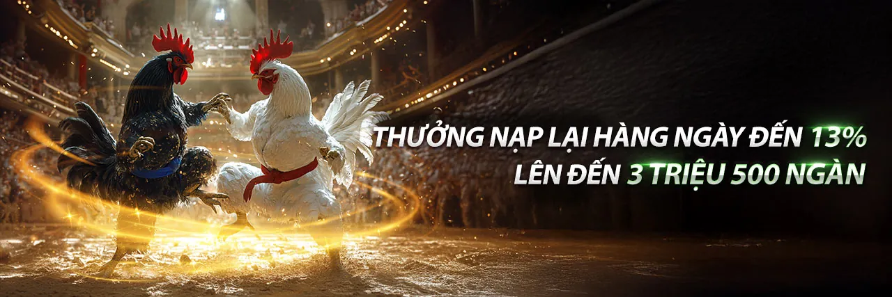 Đá Gà Trực Tiếp SV388 kịch tính tại Zom Club